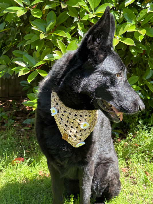 Dainty Daisy Bandana