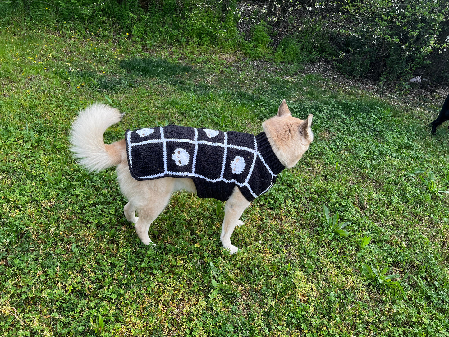 Skull Dog Sweater