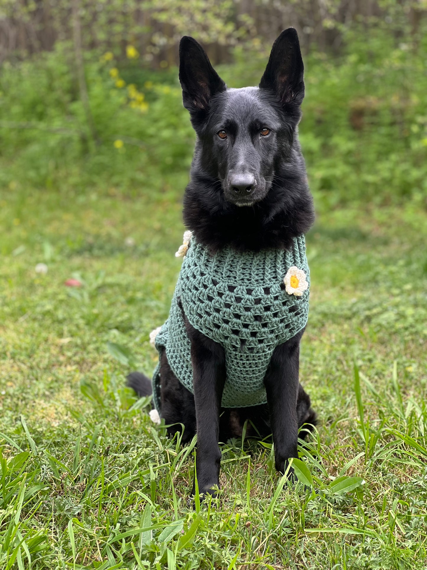 3D Daisy Dog Sweater