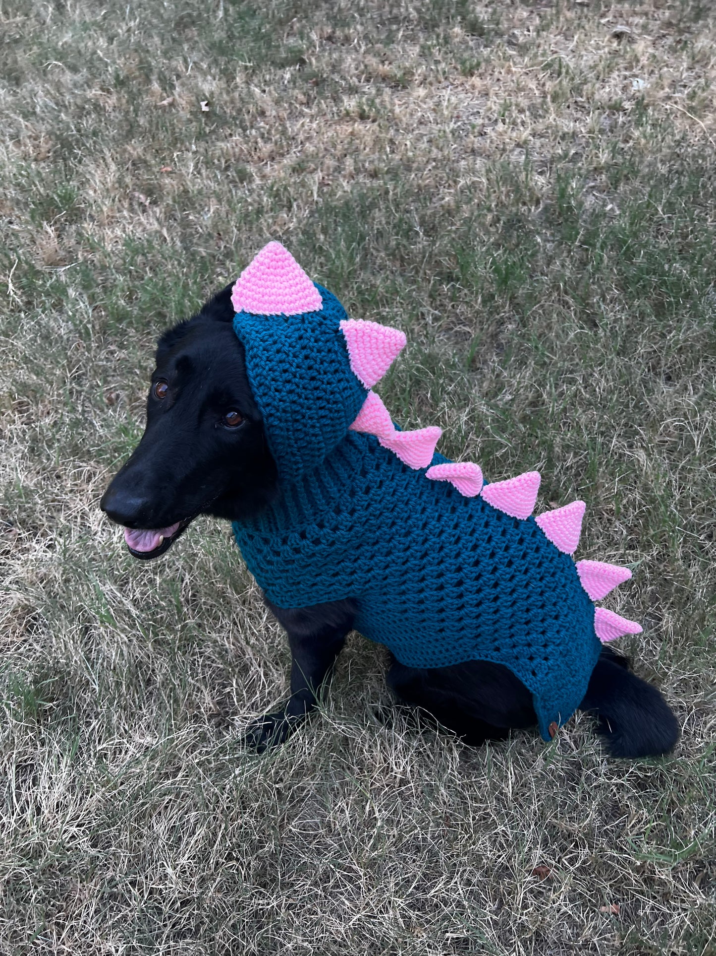 Dino Dog Sweater