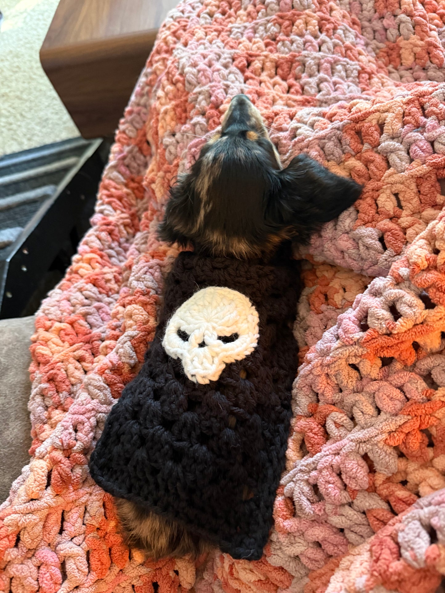 Skull Dog Sweater Granny Stitch