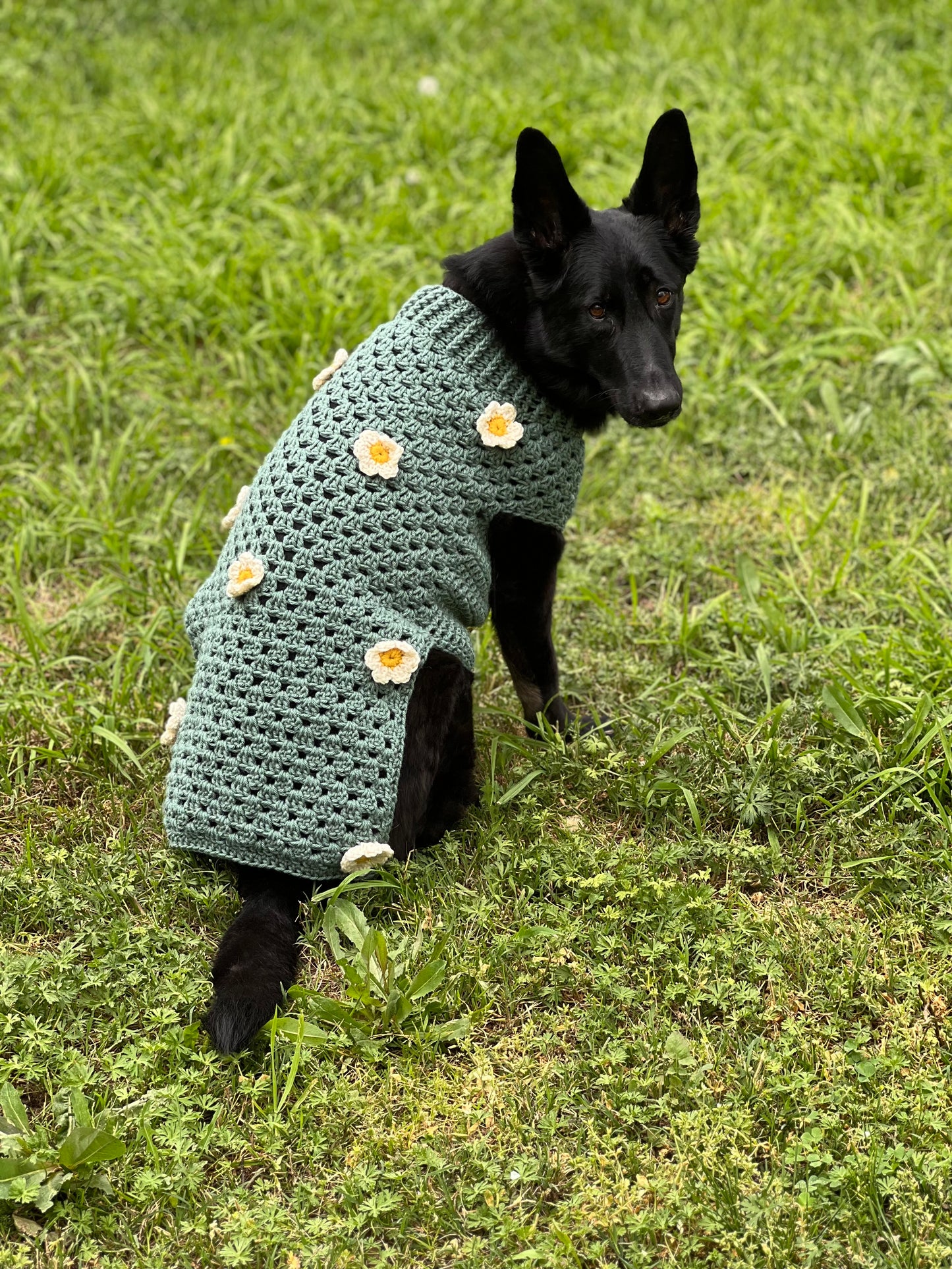 3D Daisy Dog Sweater