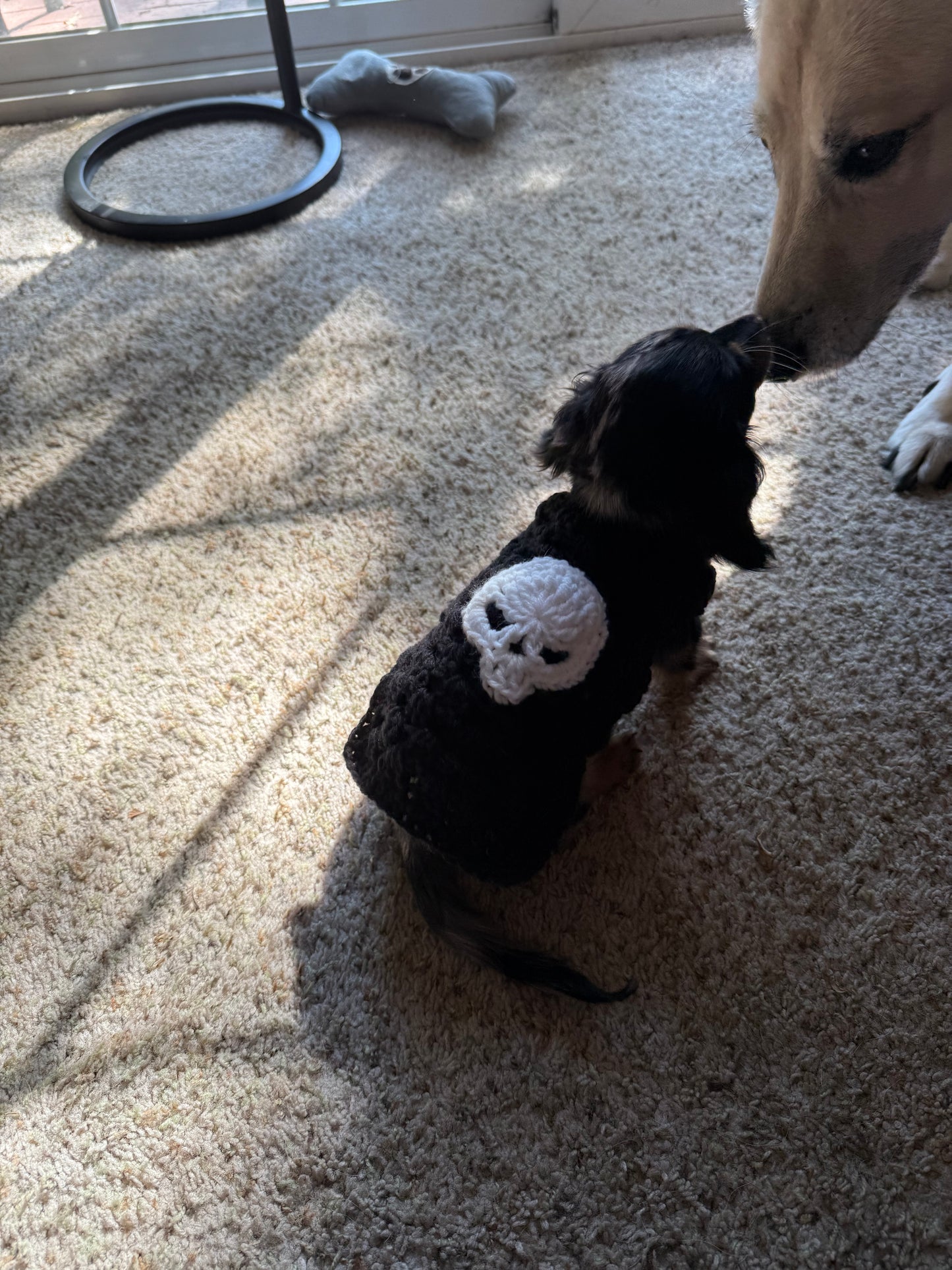 Skull Dog Sweater Granny Stitch