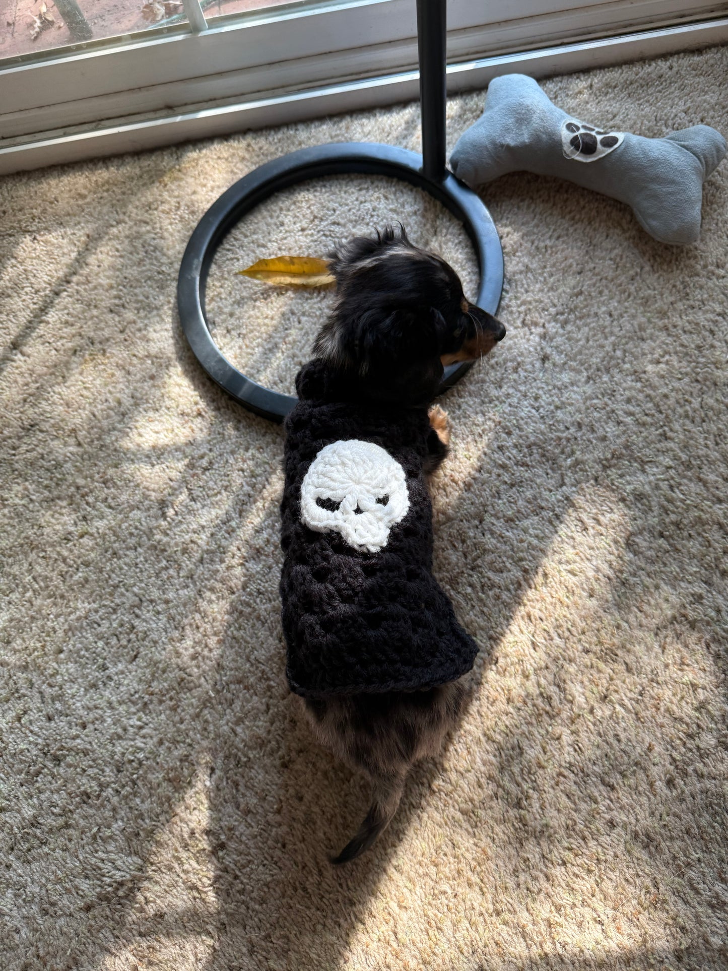 Skull Dog Sweater Granny Stitch