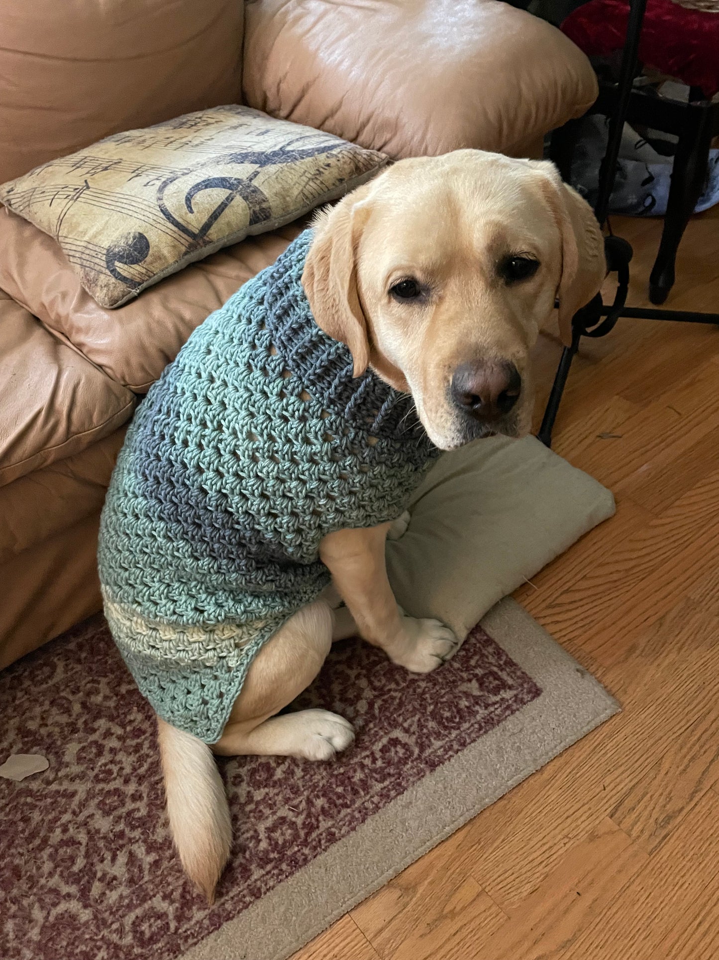 Ombré Dog Sweater