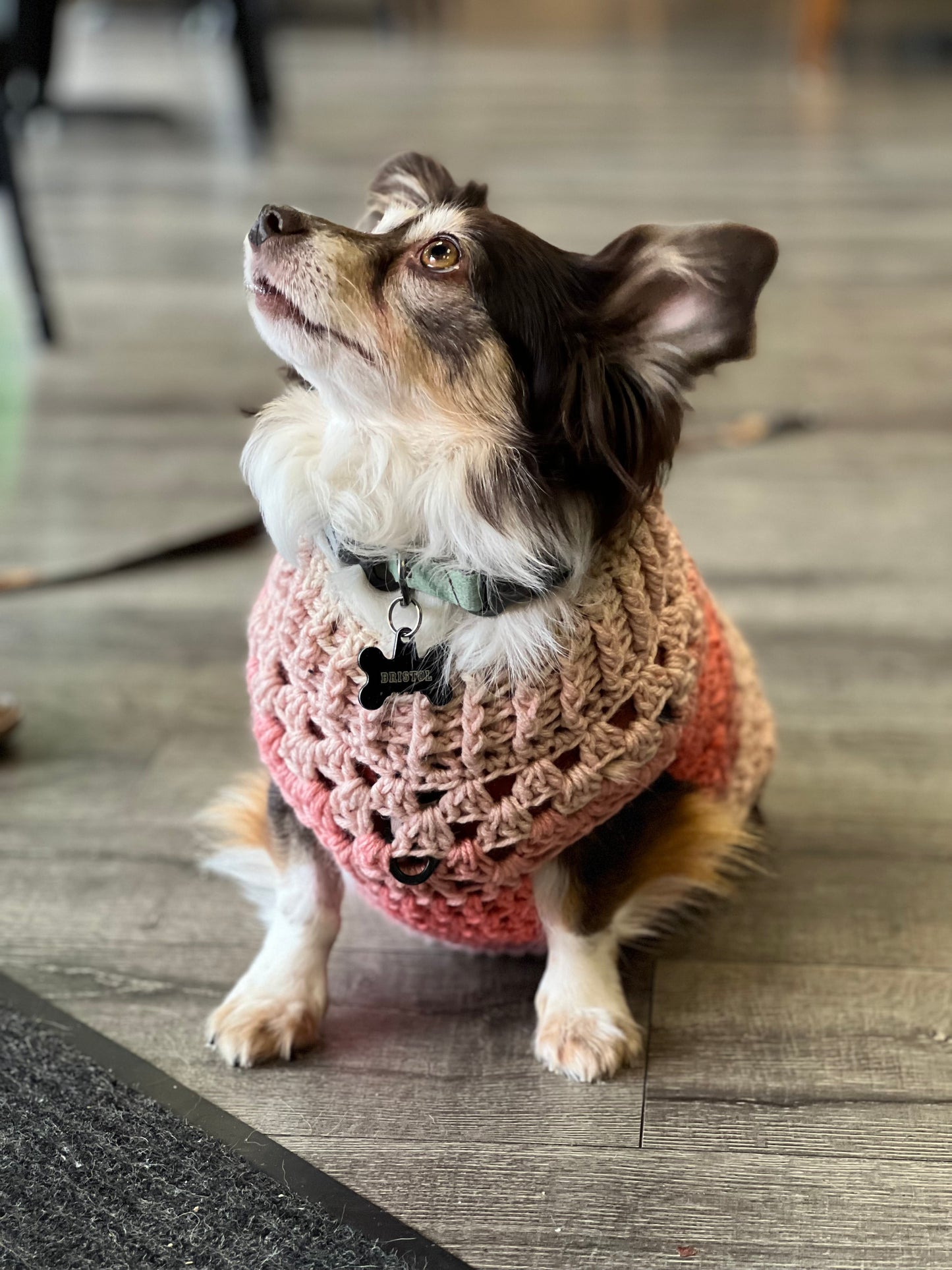 Ombré Dog Sweater