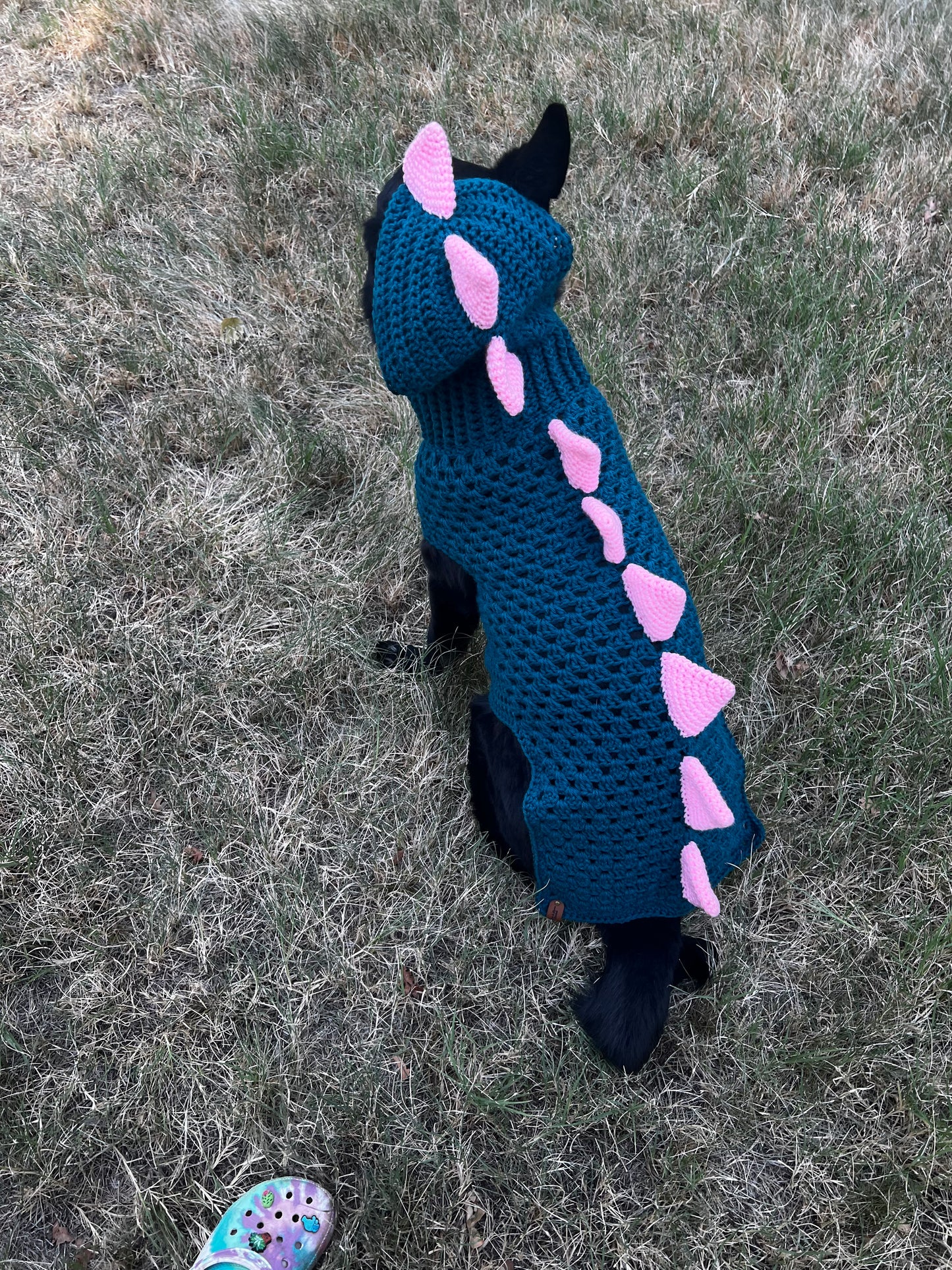 Dino Dog Sweater