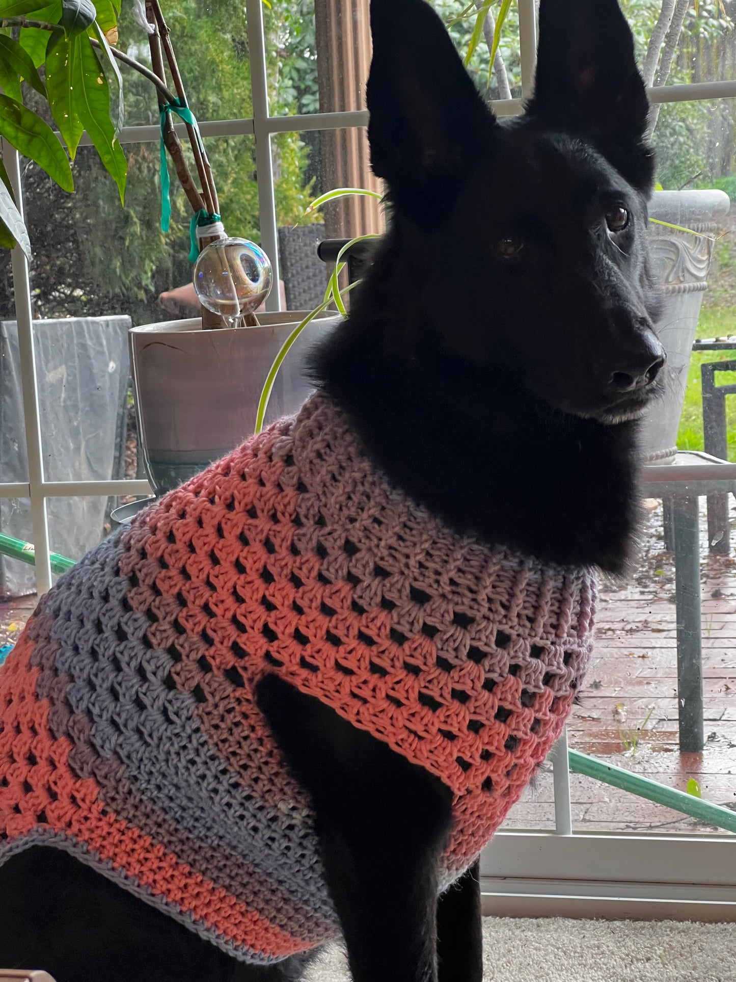 Ombré Dog Sweater