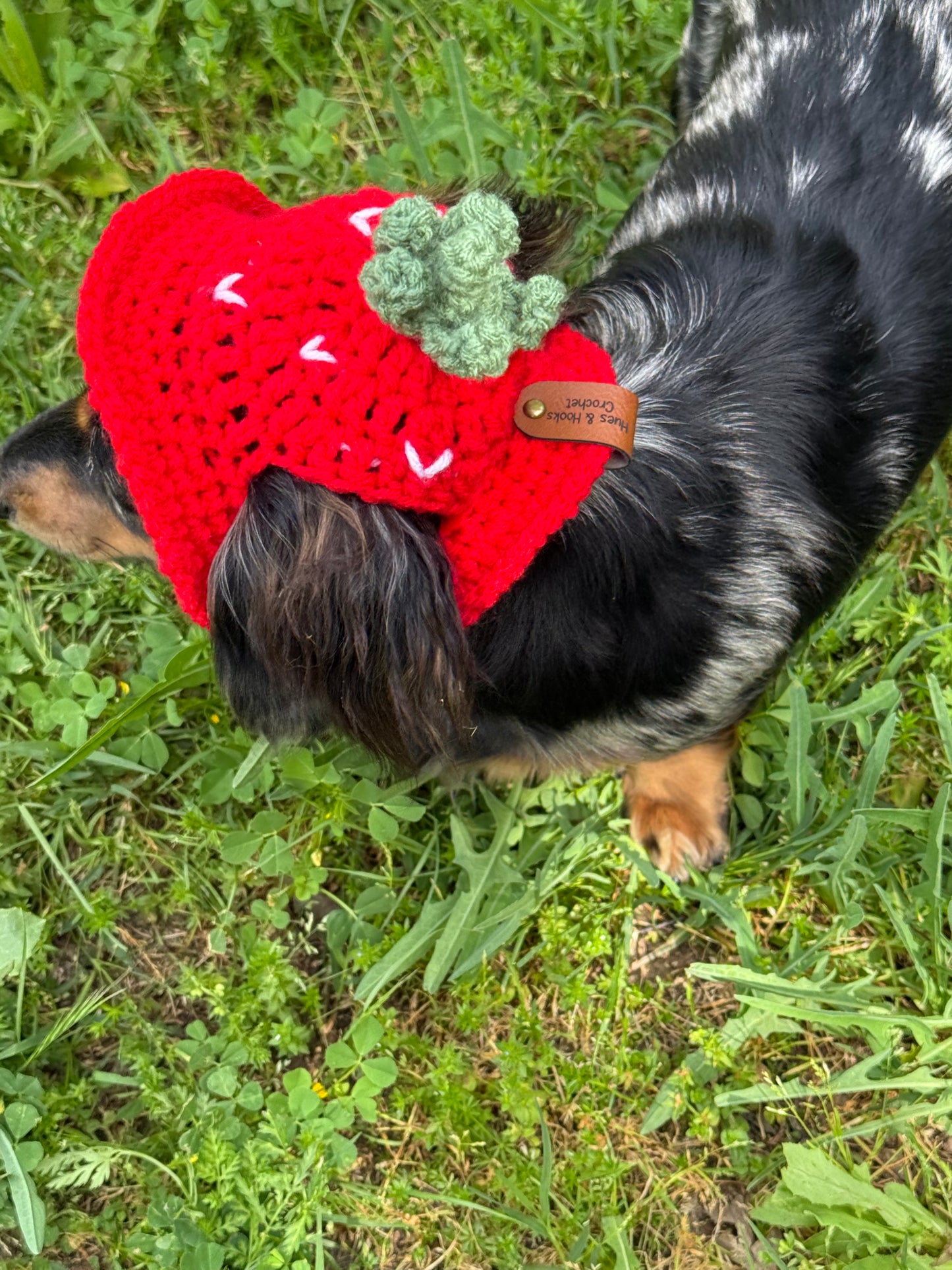 Strawberry Dog Bucket Hat