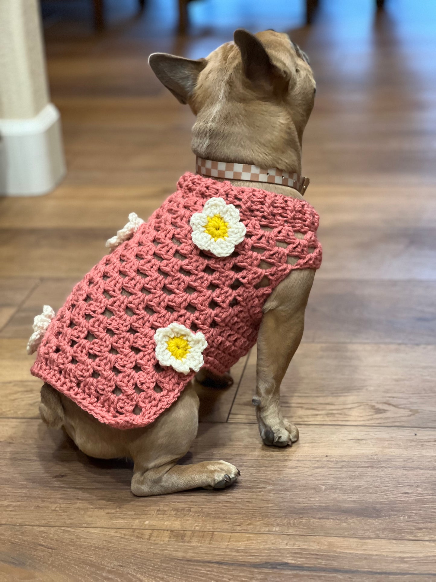 3D Daisy Dog Sweater
