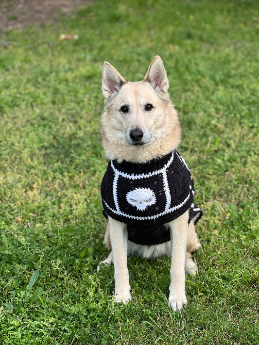 Skull Dog Sweater