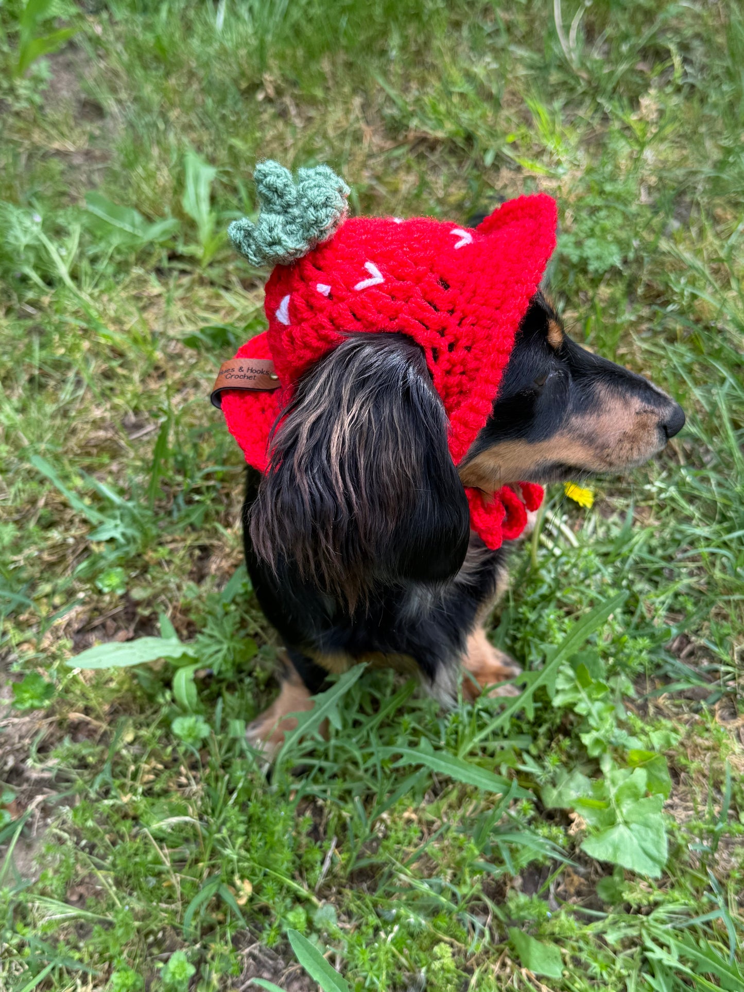 Strawberry Dog Bucket Hat