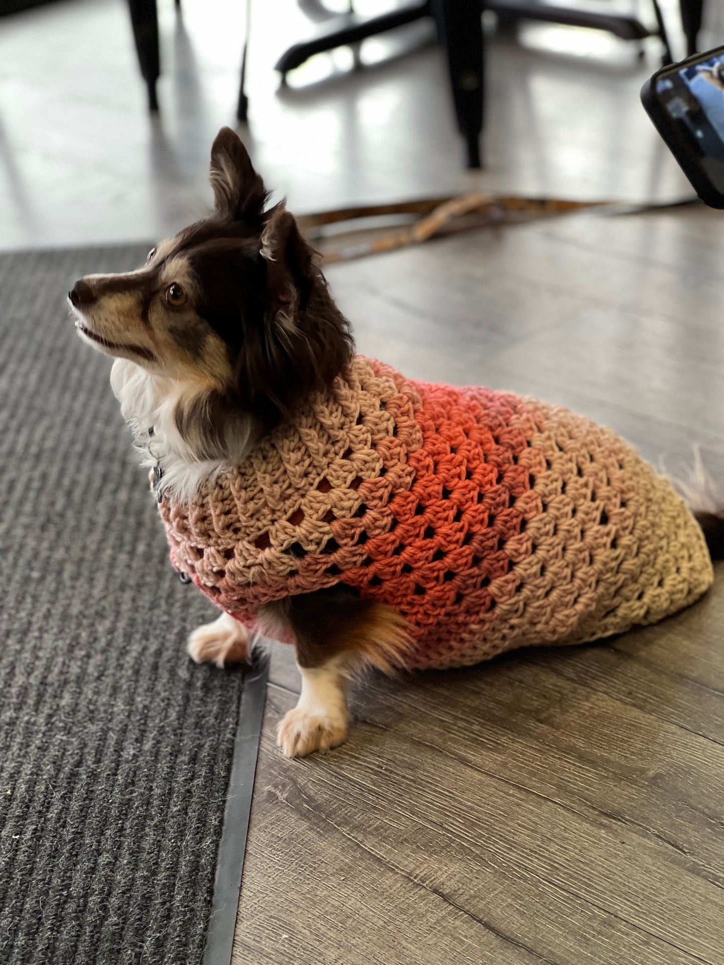 Ombré Dog Sweater