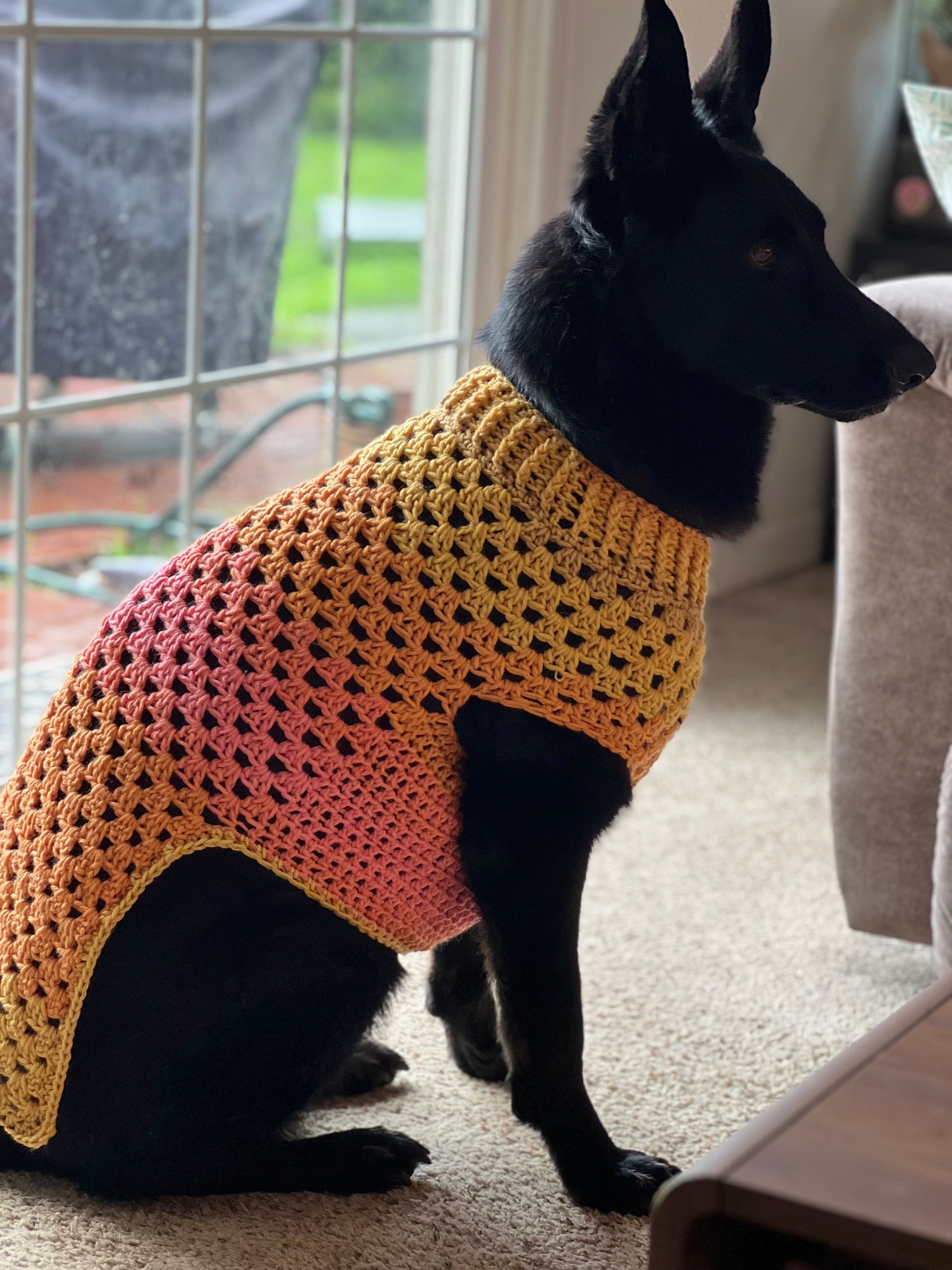 Ombré Dog Sweater