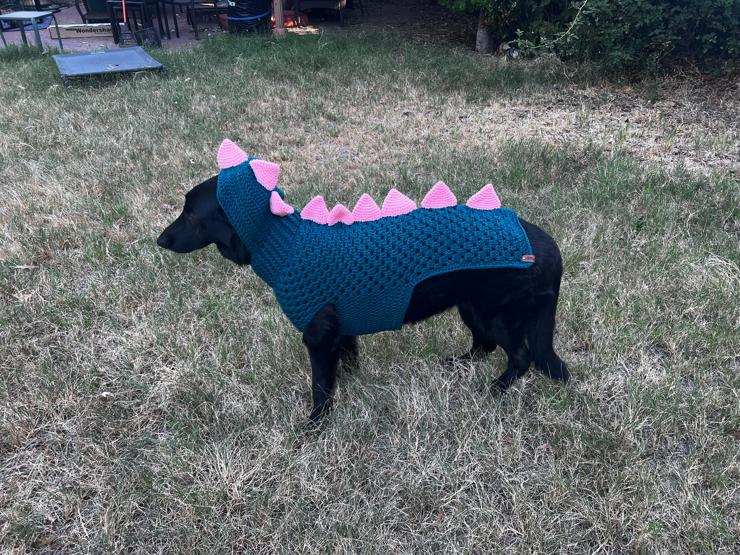 Dino Dog Sweater