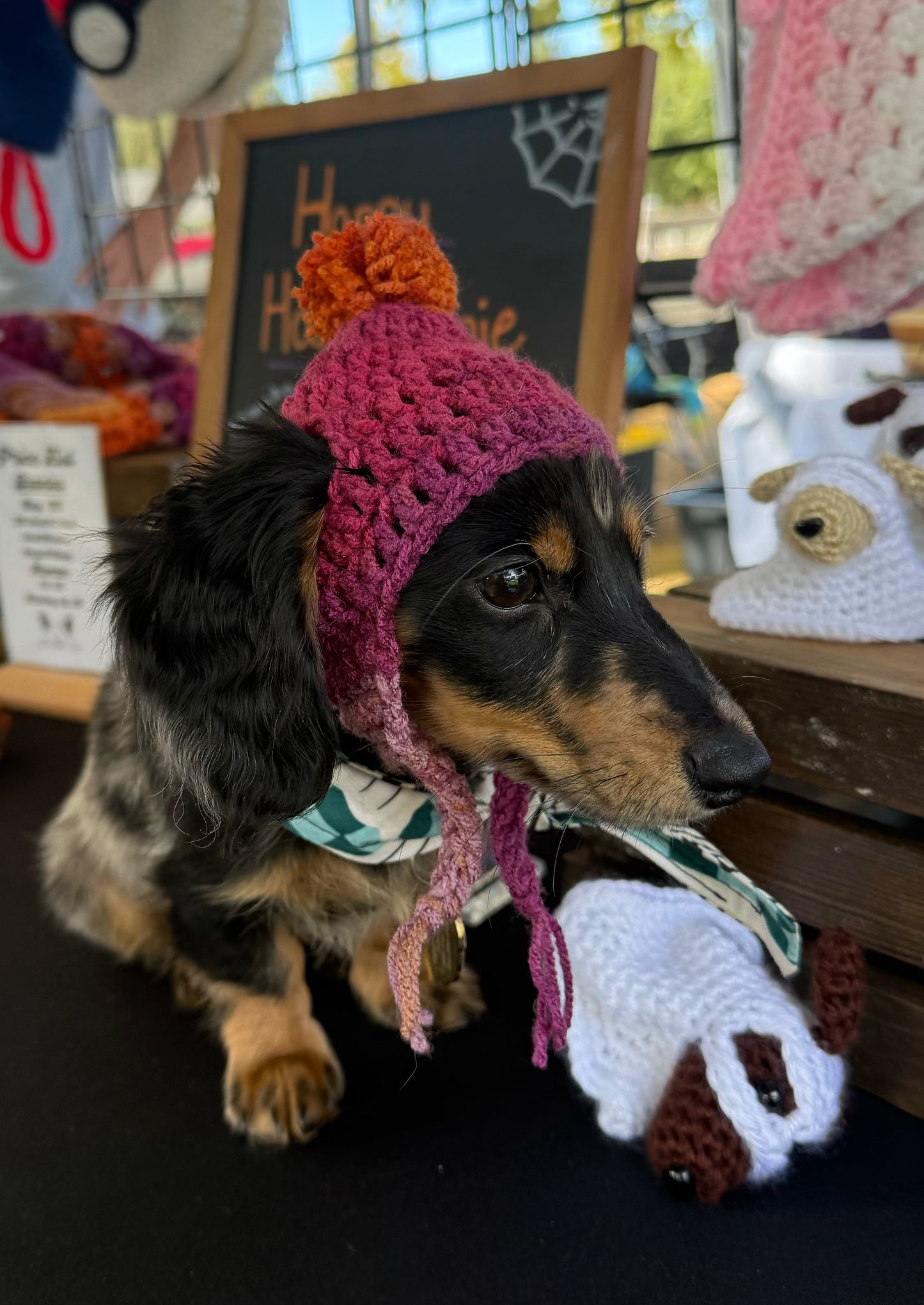 Custom Dog PomPom Beanie