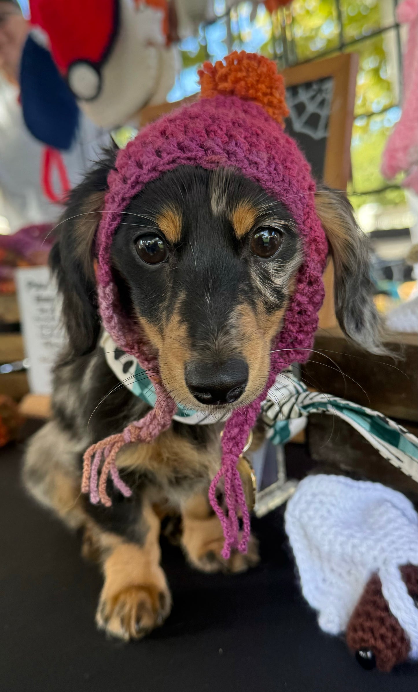 Cozy Dog PomPom Beanie